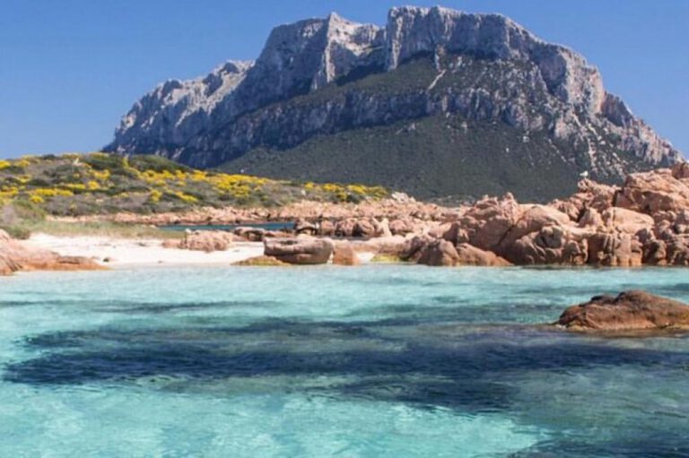 Catamaran Tour from Olbia with Dolphin Sighting, Tavolara Marine Protected Area - Luxury 5 - Image 6