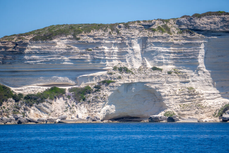 Escursione Isola Piana, Cavallo, Bonifacio Corsica in catamarano da Santa Teresa di Gallura